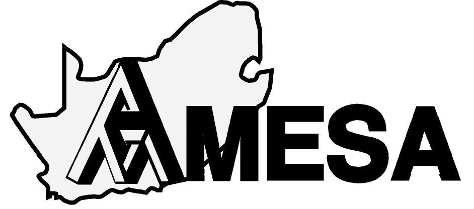 AMESA logo